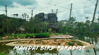 Bird Paradise Mandai Wildlife Reserve  Singapore Bird Park Highlights [upl. by Oman604]