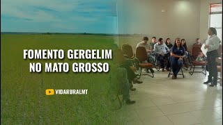 FOMENTO DA CADEIA PRODUTIVA DO GERGELIM NO MATO GROSSO [upl. by Sivahc227]