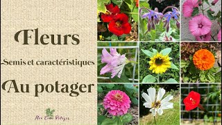 Pourquoi et comment semer les 9 fleurs utiles au potager [upl. by Nari]