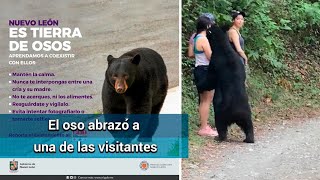 Oso sorprende a visitantes de Chipinque en Nuevo León [upl. by Nomael]