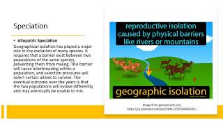 Chapter 176 Evolution  Species and Speciation [upl. by Hoebart654]