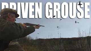 Driven Grouse Shoot in Cumbria [upl. by Ching597]