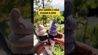 This is the best Lavender Icecream in Japan 🍦 Kawaguchiko Lake [upl. by Ahseel87]