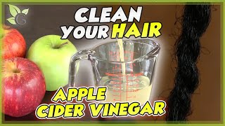 Apple Cider Vinegar as a HAIR CLEANSER – Scientific Facts [upl. by Vevay]