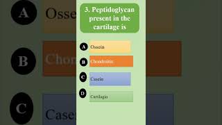 check answers in description connectivetissues tissue [upl. by Winfred]