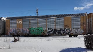 CSX  Cold AM turns into Sunny Winters Day Pass trainspotting [upl. by Auberbach728]