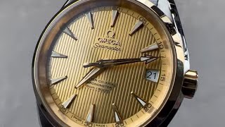 Omega Seamaster Aqua Terra 150M 23120392108001 Omega Watch Review [upl. by Neelrac]