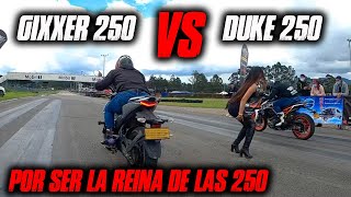 La Duke 250 defenderá su TITULO VS Gixxer 250 Cual Ganara [upl. by Llehsyar38]