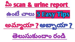 How to predict baby gender using scan and urine reports in telugu ll pregnancy tips ll gender predic [upl. by Helmer]