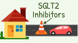 SGLT2 Inhibitors Mechanism of Action [upl. by Earej]