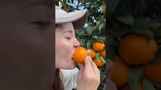 Very fresh eating oranges fruit l Satisfying natural orange reels 2024 food yummy orange life [upl. by Angy]