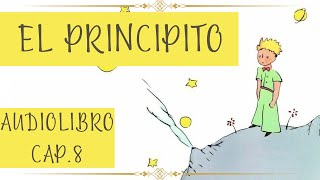 EL PRINCIPITO Cap 8 AUDIOLIBRO [upl. by Alleynad]