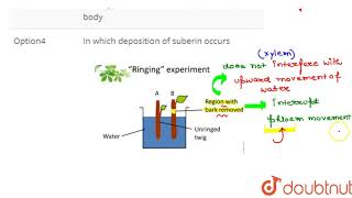 A simple experiment called girdling was used to identify the tissue [upl. by Ennavoj945]