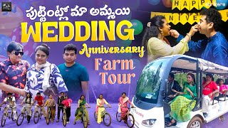 పుట్టింట్లో మా అమ్మాయి Wedding Anniversary  Farm Tour  Zubeda Ali  Zubeda Ali Vlogs  Strikers [upl. by Yzzik]