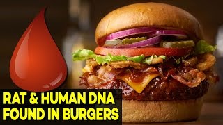 Whats in Your Burger Just RAT and HUMAN DNA [upl. by Dahlstrom]