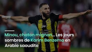 Minou chaton mignon… Les jours sombres de Karim Benzema en Arabie saoudite [upl. by Lunnete]