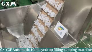 Eyedrop filling machine10ml eyedrop filling plugging capping machine [upl. by Alfred880]