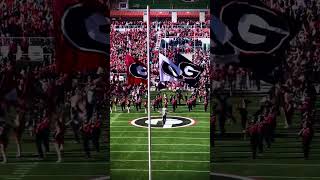 THE GREATEST ENTRANCE IN COLLEGE FOOTBALL shorts georgiabulldogs football [upl. by Laflam]