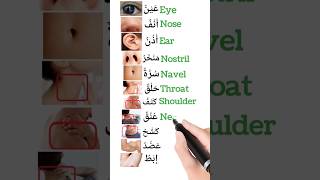 english arabiclearning learnenglish learnarabic spokenenglish arabiclanguage arabiclearning [upl. by Aerdua281]