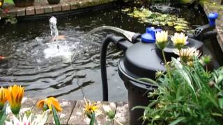 Pressurised Pond Filter Set Up PFC5000  All Pond Solutions [upl. by Einahets]