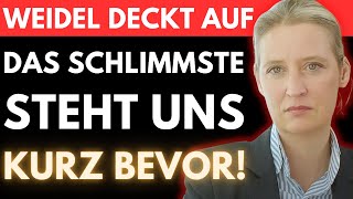 WEIDELS LETZTE WARNUNG 🚨 Der FINALE AMPEL PLAN steht kurz bevor  DAS wird uns ALLES kosten [upl. by Yromem]