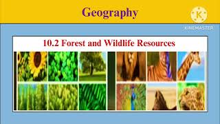 102 Geography  forest and wildlife resourceswith questions and answer  education [upl. by Carrol]