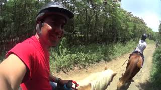 Horseback Riding Kualoa Ranch Hawaii [upl. by Nire35]