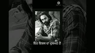 Pagal Shayar Babbu Maan lyrics [upl. by Yxor]