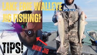 Jig Fishing Lake Erie Walleye TIPS April 1718 [upl. by Orian]