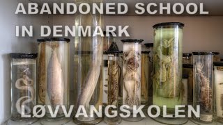 Abandoned School  Løvvangskolen [upl. by Nicolella]