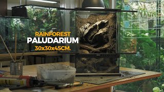 Make a rainforest paludarium 30x30x45cm [upl. by Dubois774]