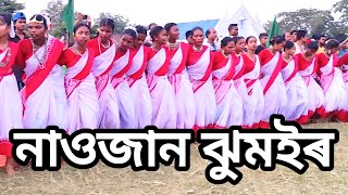 Maa Baba New jhumoir song At naojan adarsh gaon ঝুমইৰ jhumoor ঝুমুর jumur [upl. by Lyman]