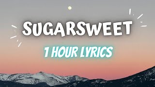 Sugarsweet  Zach Sorgen 1 Hour Lyrics I’m on the road it’s my time Taking control of my life [upl. by Ara]