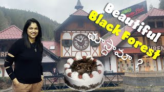 World famous Blackforest trip [upl. by Anirhtak]