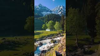 Shakun Himachal lovesongs manjuthakur 0008 [upl. by Ellerd]