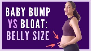 Bump vs Bloat  When Will My Belly Show  Bump Size During Pregnancy [upl. by Nugent]