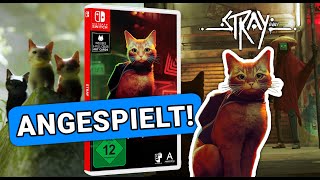 Stray gibt es nun auch auf der NINTENDO SWITCH Na ob das eine gute Idee war  Angespielt [upl. by Calvin]