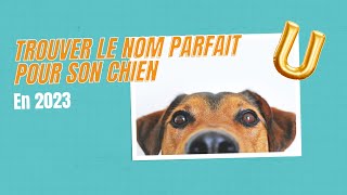 Nom de chien en U pour 2023 [upl. by Aloisia]