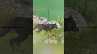 Hunting Wolf  Way Of The Hunter  Hunting Clash animals hunting gaming [upl. by Akired]