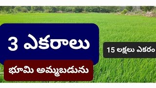 3 Acres land for sale telangana Manthani15 lakhs acresrrealestategodavarikhani [upl. by Hannahs]