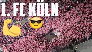 FSV Mainz 05 vs 1 FC Köln Kölner Fans Lieder und Fangesänge [upl. by Aimet211]