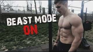 Street Workout  FULL BODY WORKOUT  FULL ROUTINE  Street Brothers [upl. by Annadiane]