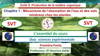 Lessentiel du cours mécanisme dabsorption de leau et les sels minéraux chez les plantes [upl. by Nymsaj919]