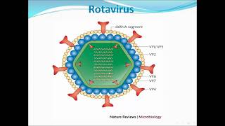 Rota virus [upl. by Ilaire584]