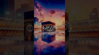 Surah yeasin 🤲🏻🤲🏻💞💞💖shortsviral foryou shortfeed surah [upl. by Negyam908]