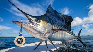 The Sailfish Challenge  Catching The Worlds FASTEST FISH   River Monsters [upl. by Bar]