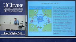 Biological Sciences M121 Immunology with Hematology Lecture 25 Autoimmune Diseases Vaccines [upl. by Denison]