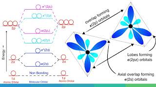 Molecular Orbital Diagram of B2 C2 and N2 Molecules [upl. by Feeney]