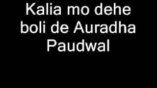 Kalia mo dehe boli de Anuradha Paudwal [upl. by Akirahs]