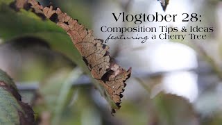 Vlogtober 28 Composition Tips amp Ideas [upl. by Lenuahs676]